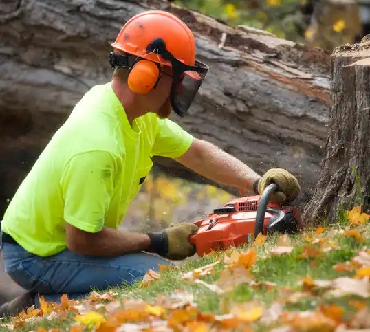 tree services Cecilia